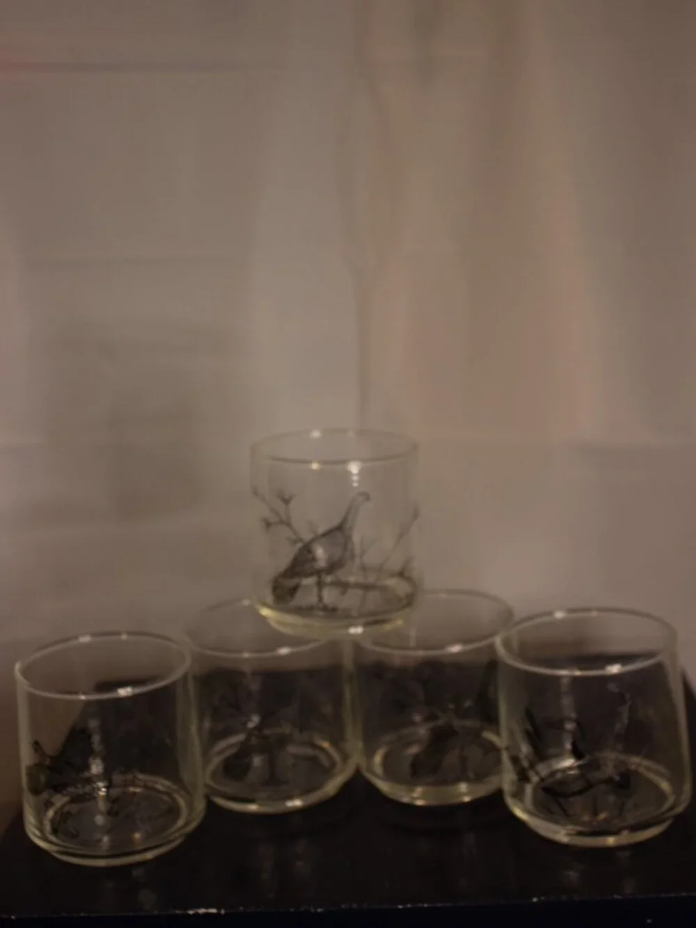 Vintage Wildlife Drinking Glasses | Federal Glass | Game Birds | 6 oz Tumblers